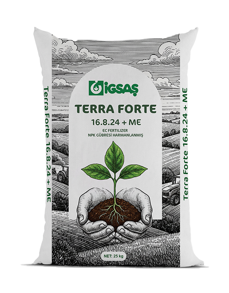 Terra Forte 16.8.24+ME